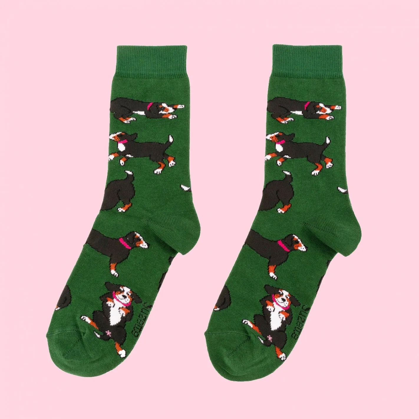 BERNESE DOG SOCKS