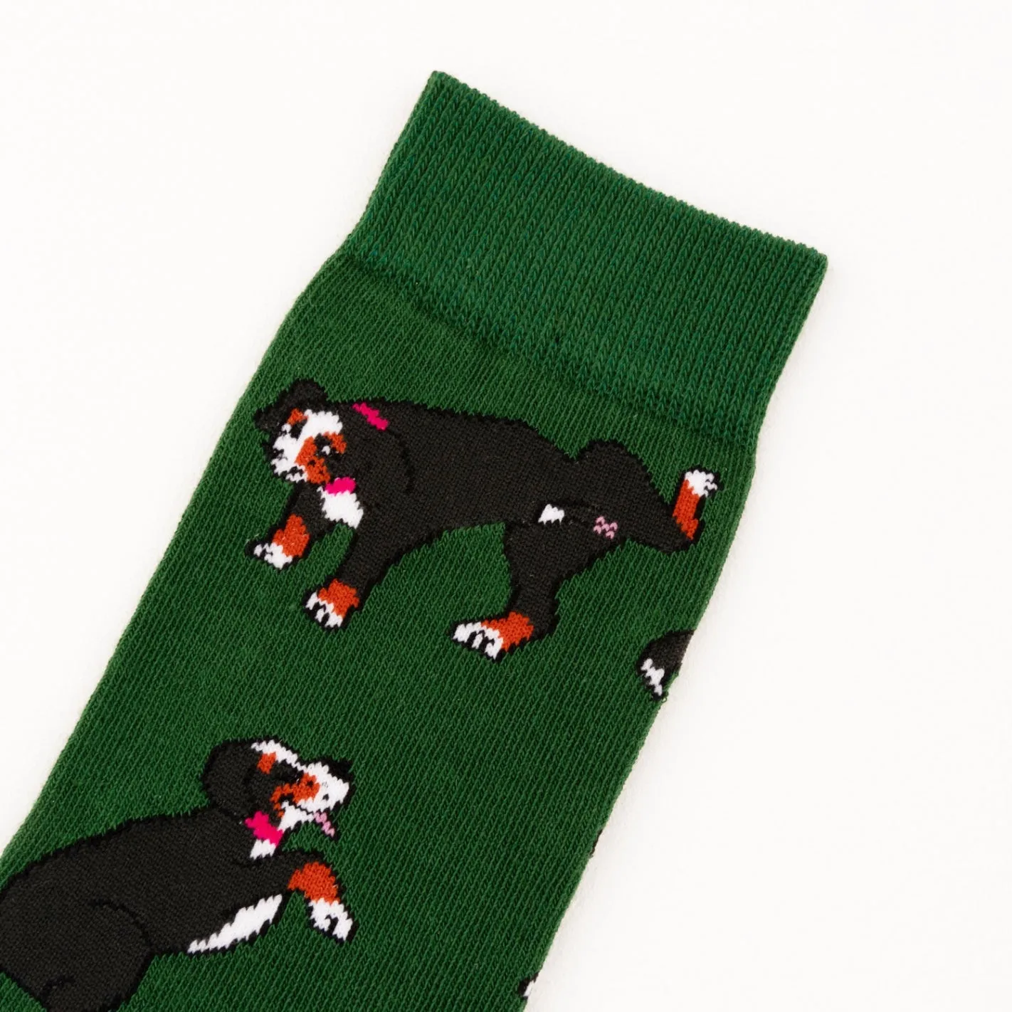 BERNESE DOG SOCKS