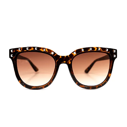 Brown Studded Sunnies