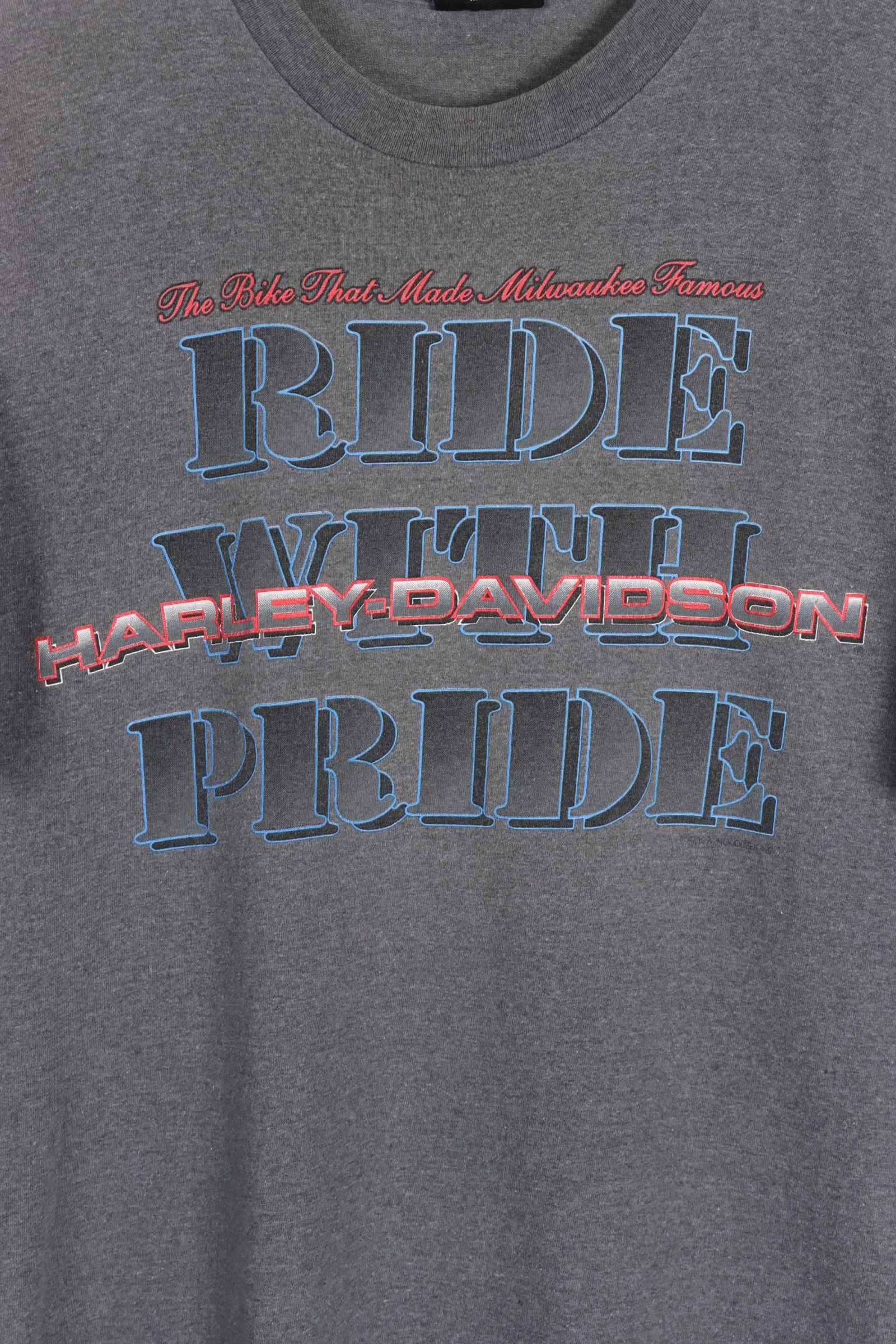 HARLEY DAVIDSON 'Ride with Pride' USA Made Michigan Tee (L)